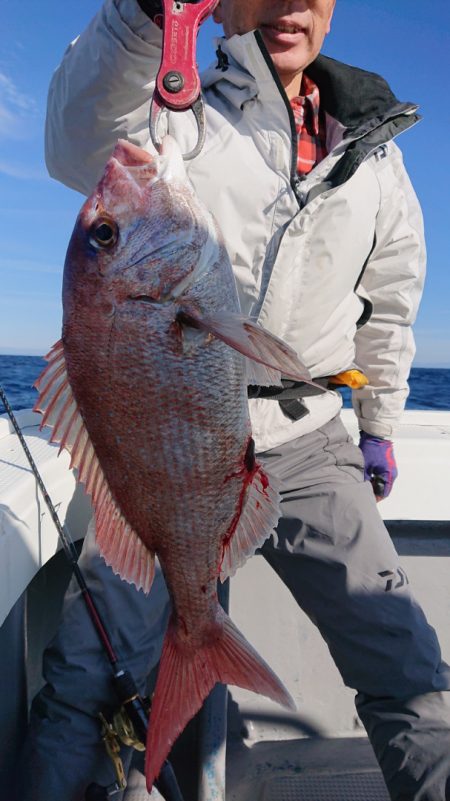 だて丸 釣果