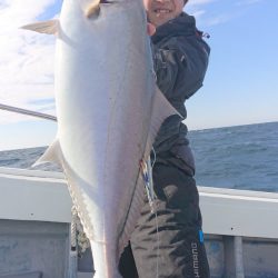 だて丸 釣果