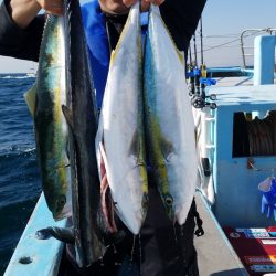 みやけ丸 釣果