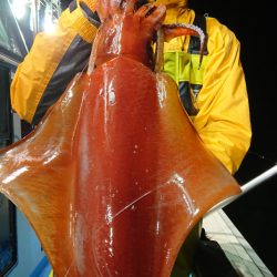 竹宝丸 釣果