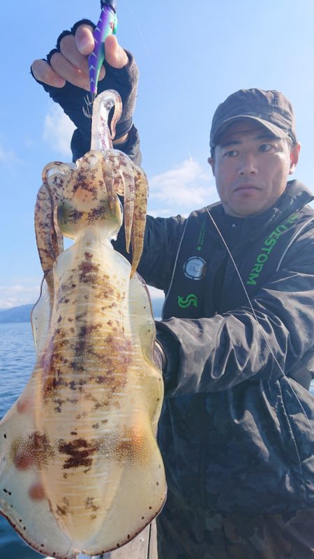 シースナイパー海龍 釣果