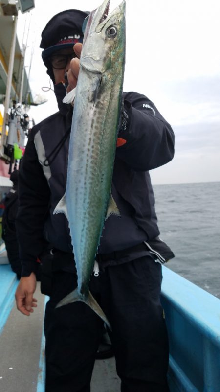 みやけ丸 釣果