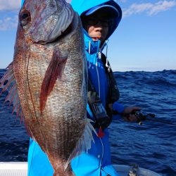 だて丸 釣果