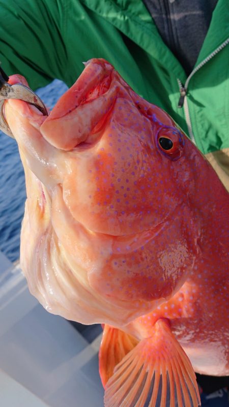 海皇丸 釣果