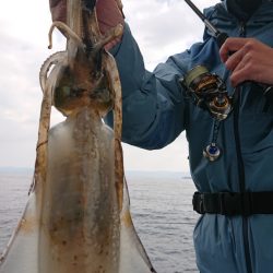 シースナイパー海龍 釣果