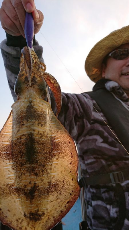 シースナイパー海龍 釣果