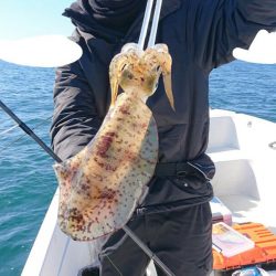 きずなまりん 釣果