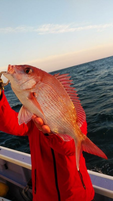 新幸丸 釣果