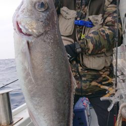 だて丸 釣果