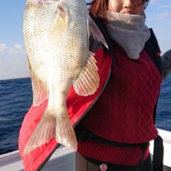 だて丸 釣果