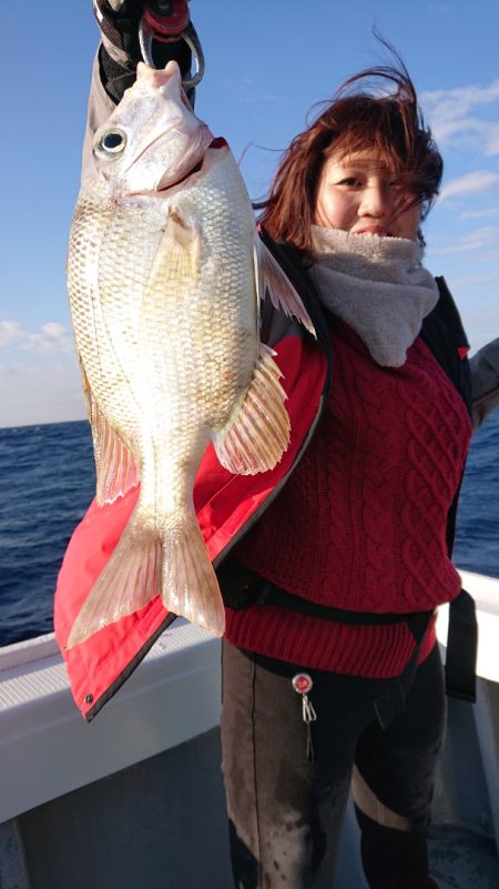 だて丸 釣果