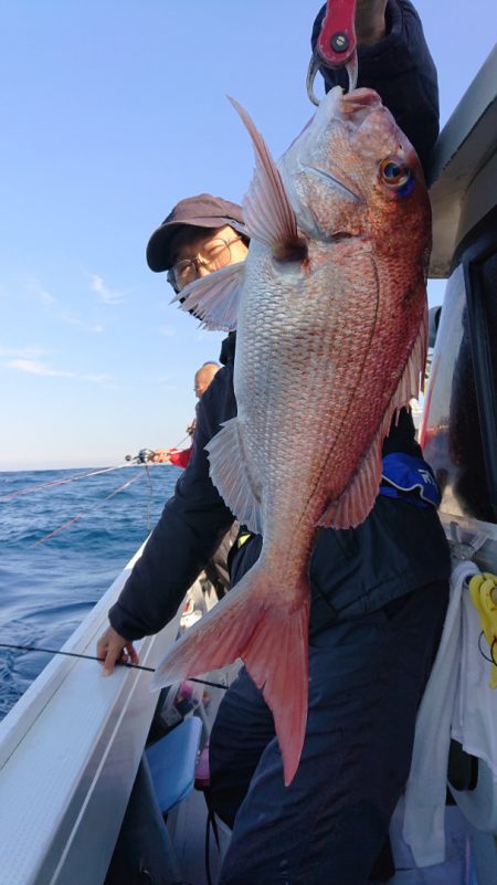 だて丸 釣果