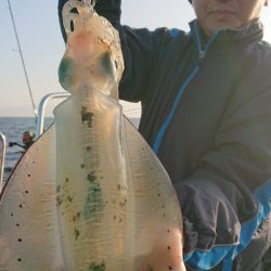 シースナイパー海龍 釣果