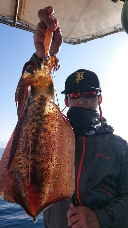 シースナイパー海龍 釣果