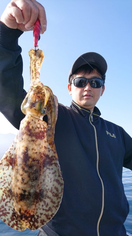 シースナイパー海龍 釣果