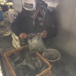 金栄丸 釣果