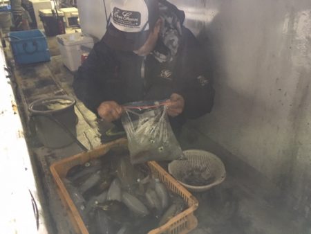 金栄丸 釣果