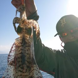 シースナイパー海龍 釣果