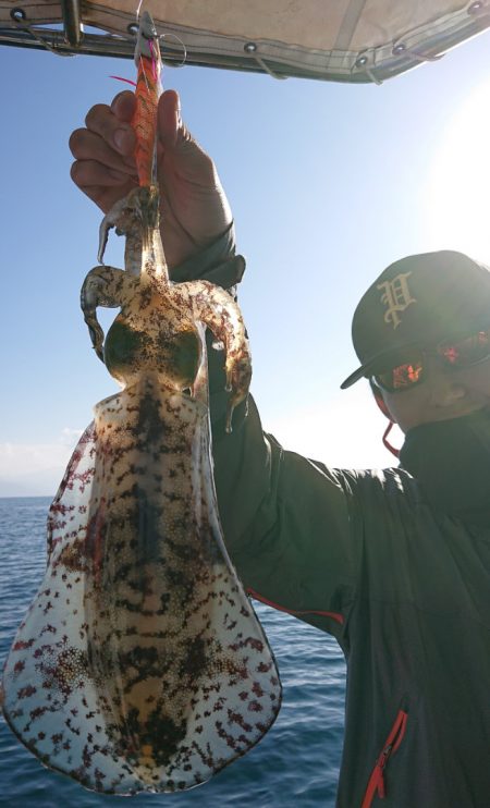 シースナイパー海龍 釣果