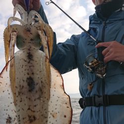 シースナイパー海龍 釣果