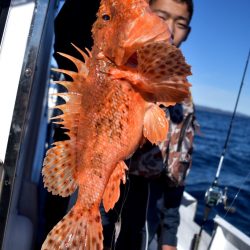 渡船屋たにぐち 釣果