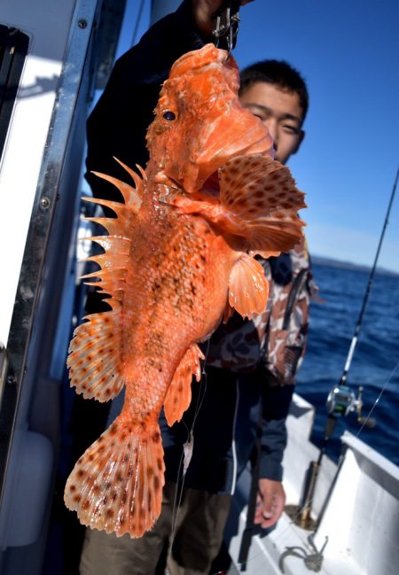 渡船屋たにぐち 釣果