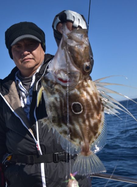 渡船屋たにぐち 釣果