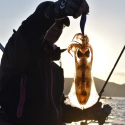 渡船屋たにぐち 釣果