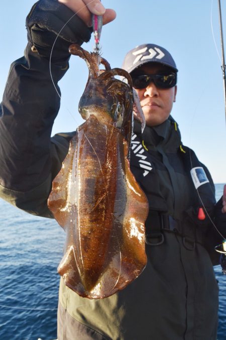 渡船屋たにぐち 釣果