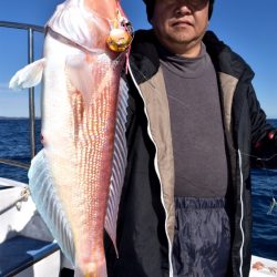 渡船屋たにぐち 釣果