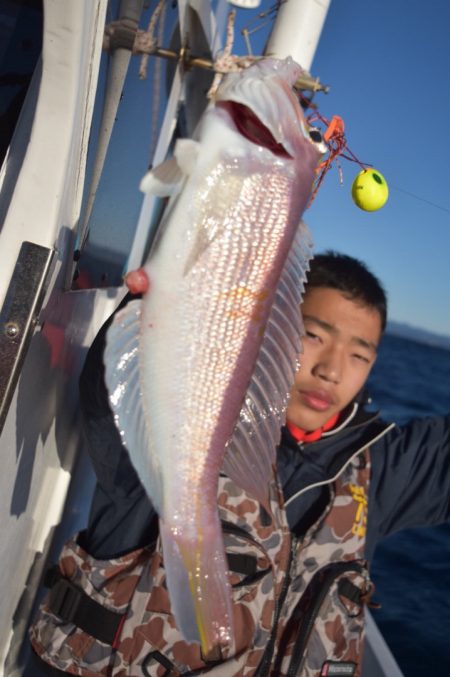 渡船屋たにぐち 釣果