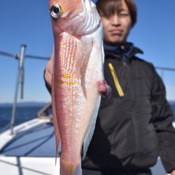 渡船屋たにぐち 釣果