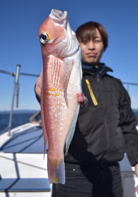 渡船屋たにぐち 釣果