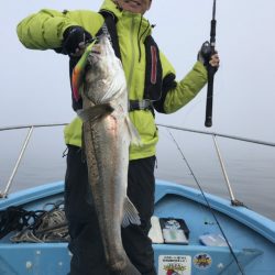 アマテラス 釣果