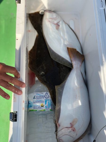 丸万釣船 釣果