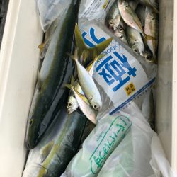 丸万釣船 釣果