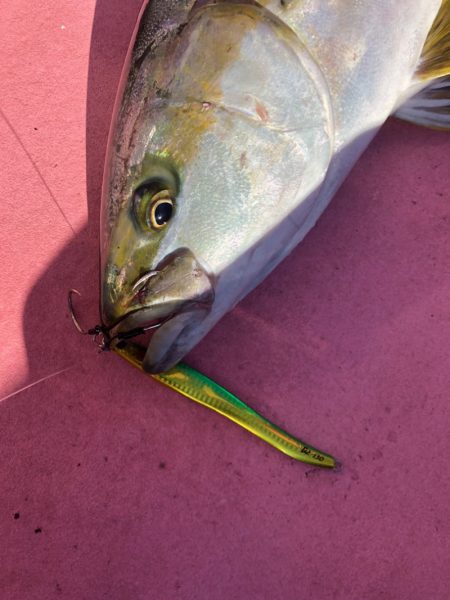 山正丸 釣果