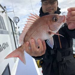 新幸丸 釣果