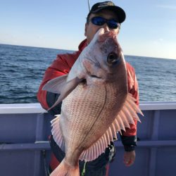 新幸丸 釣果