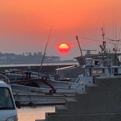 みやけ丸 釣果