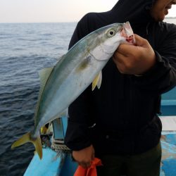 みやけ丸 釣果