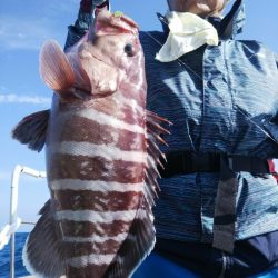 光生丸 釣果