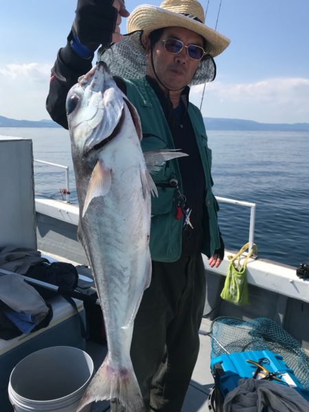 釣鯛洋 釣果