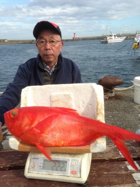 晃山丸 釣果