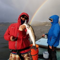 アマテラス 釣果