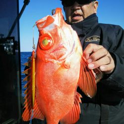 光生丸 釣果