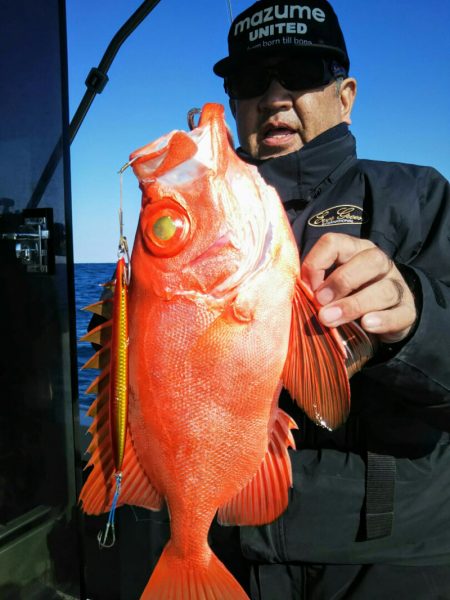 光生丸 釣果