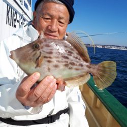 島きち丸 釣果