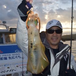 渡船屋たにぐち 釣果