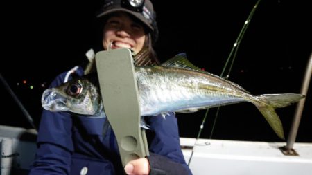 シースナイパー海龍 釣果